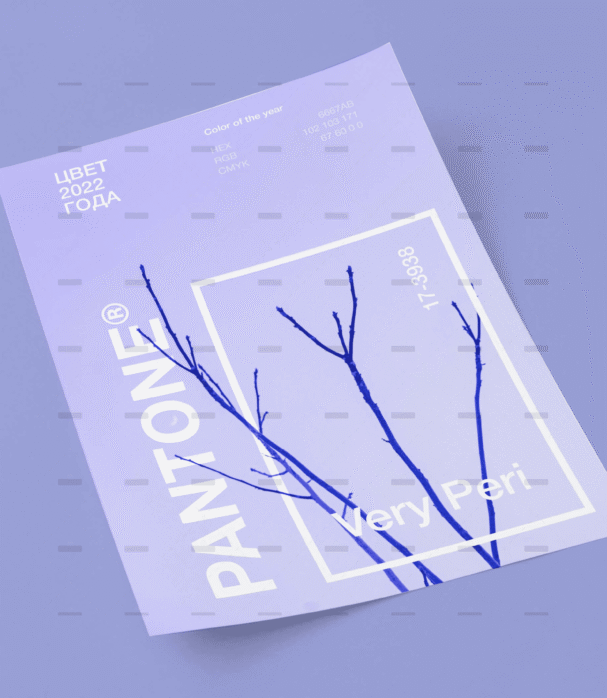 demo-attachment-1965-d376be96ed331d78fd5cb863c6e3417b-scaled